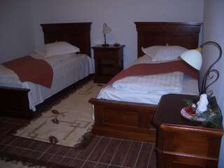 Гостевой дом Pension Casa Iurca Сигету-Мармацией Двухместный номер с 2 отдельными кроватями-2