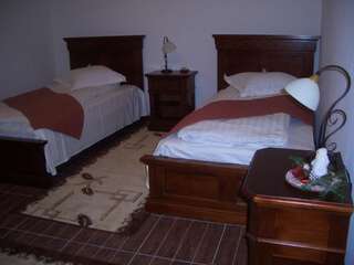 Гостевой дом Pension Casa Iurca Сигету-Мармацией Двухместный номер с 2 отдельными кроватями-6